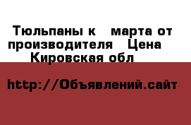 Тюльпаны к 8 марта от производителя › Цена ­ 37 - Кировская обл.  »    